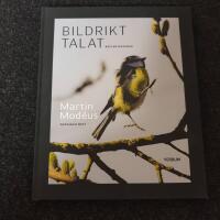 Bildrikt talat : reflektionsbok