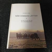 N&auml;r dimman l&auml;ttar : att hitta sin egen r&auml;tta v&auml;g ut ur utmattningssyndrom