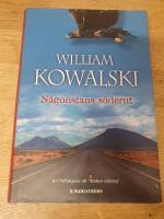 N&aring;gonstans s&ouml;derut