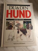 Du & din hund