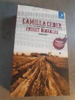 Fruset &ouml;gonblick