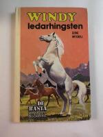Windy, ledarhingsten