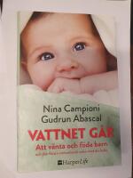 Vattnet g&aring;r : att v&auml;nta och f&ouml;da barn och den f&ouml;rsta omtumlande tiden med din bebis