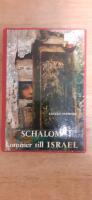 Schalom kommer till Israel