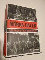 Den m&ouml;rka dalen : Panorama &ouml;ver 1930-talet