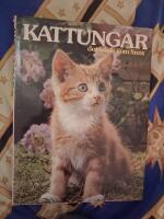 Kattungar, det b&auml;sta som finns