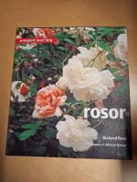 Rosor