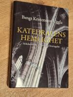 Katedralens hemlighet : Sekularisering och religi&ouml;s &ouml;vertygelse