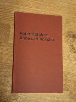 Ande och bokstav - hur blir man en helig m&auml;nniska? eller En liten teologi f&ouml;r sj&auml;lens &ouml;rtag&aring;rd