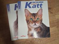 Katt Encyklopedi