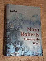 Flammande skyar - roman