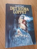 Det stora loppet
