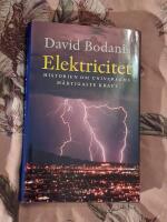 Elektricitet : Historien om universums m&auml;ktigaste kraft
