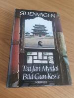 Sidenv&auml;gen : En resa fr&aring;n H&ouml;ga Pamir och Ili genom Sinkiang och Kansu