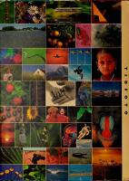 TIOFOTO BILDKATALOG 1994