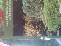 Stora tr&auml;dg&aring;rdsboken