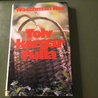 Tolv korgar fulla : bibelstudier