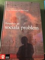 Perspektiv p&aring; sociala problem