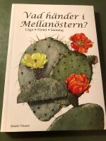 Vad h&auml;nder i Mellan&ouml;stern? : [l&ouml;gn, f&ouml;rtal, sanning]