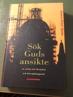S&ouml;k Guds ansikte : en vision om f&ouml;rnyelse och &aring;teruppbyggnad
