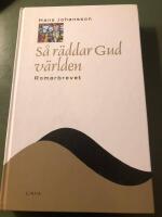 S&aring; r&auml;ddar gud v&auml;rlden : Romarbrevet