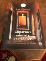 Gliporna i minnets korridorer : en religionsprofessor ser tillbaka