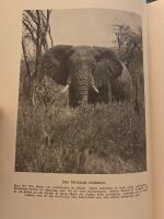 Safari - &Auml;ventyr fr&aring;n Afrikas vidder 