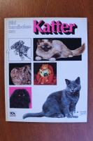 Bildhandboken om katter