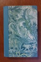 Forskningsresor och &auml;ventyr i mellersta Afrika