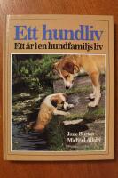 Ett hundliv : ett &aring;r i en hundfamiljs liv