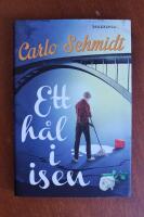 Ett h&aring;l i isen