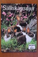 S&auml;llskapsdjur