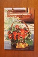 Allt om krukv&auml;xter - 22