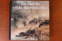 Ett &aring;r i de vilda djurens rike