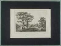 Stockholms Pittoreska Omgifningar. Kongl. Djurg&aring;rden.