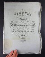 Sigtuna Ruiner Lithographierade