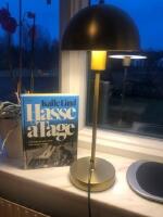 Hasse&aring;Tage : humorparet som roade och retade Sverige