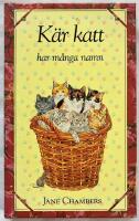 K&auml;r katt har m&aring;nga namn