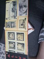 Freaks, Geeks & Strange Girls: Sideshow Banners of the Great American Midway