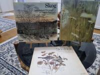 Skog : anteckningar fr&aring;n en gl&auml;nta & 