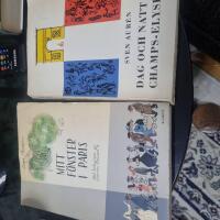 MITT F&Ouml;NSTER I PARIS,,,,DAG OCH NATT P&Aring; CHAMPS-ELYS&Eacute;ES