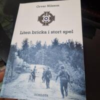 Liten bricka i stort spel