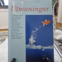 Utmaningar