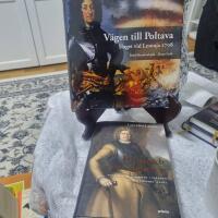 V&auml;gen till Poltava : slaget vid Lesnaja 1708