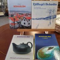  Fj&auml;llbygd i Bohusl&auml;n