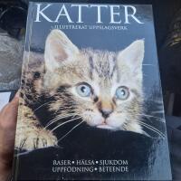 Katter - illustrerat uppslagsverk
