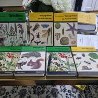 Skogens tr&auml;d och buskar i f&auml;rg