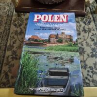 Polen : resa i tid och rum