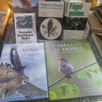 I Skuggan av tr&auml;den : liv i v&aring;ra vilda skogar 5st