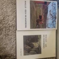 HALLE- OCH HUNNEBERG